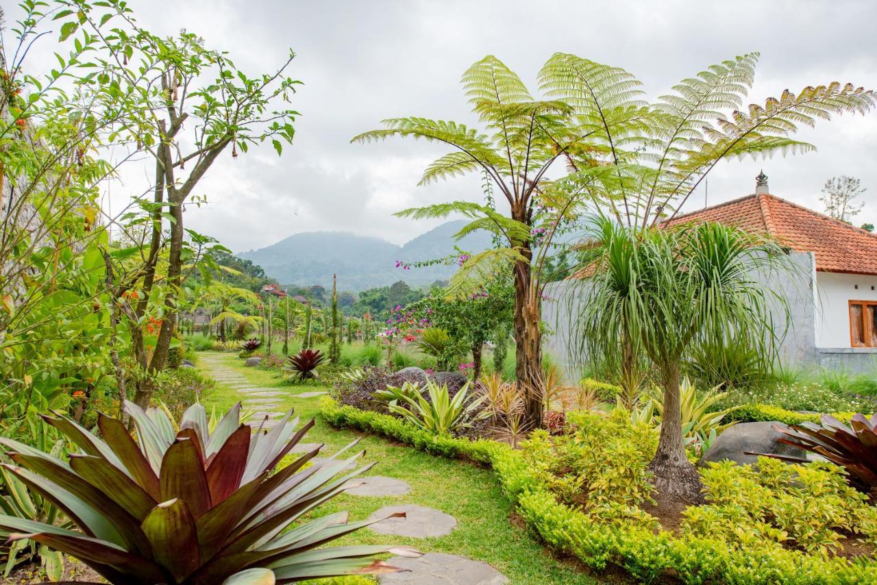 Dedanau Hotel Bedugul  Dış mekan fotoğraf